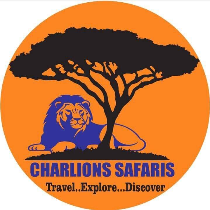 charlions safaris.